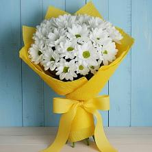 Букет цветов из:  Хризантемы в Братках