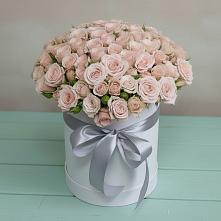 Цветочная композиция из Розы в шляпной коробке #REPLACE_PRED# Братках