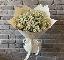 Букет цветов из:  Ромашки в Братках