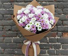 Букет цветов из:  Хризантемы #REPLACE_PRED# Братках