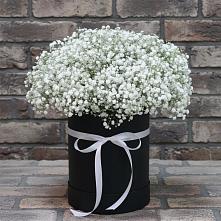 Цветочная композиция из Гипсофила в шляпной коробке в Братках
