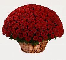 Премиум букет из: Розы в Братках